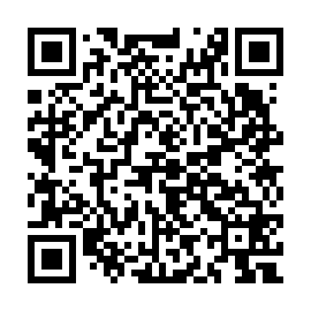 QR code for MIS668