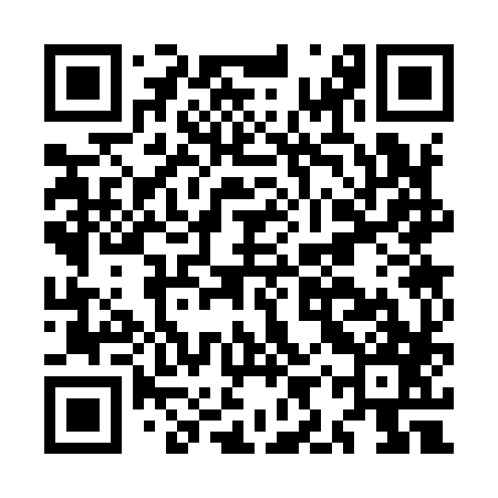 QR code for MIS987