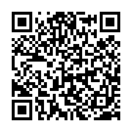 QR code for MIT493