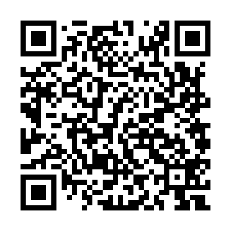 QR code for MIV919