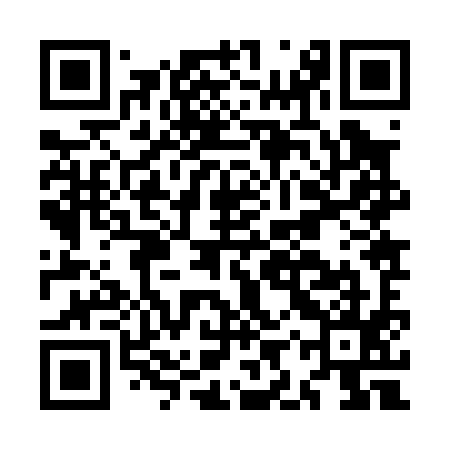 QR code for MIZ095