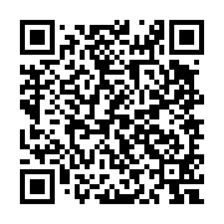 QR code for MIZ491
