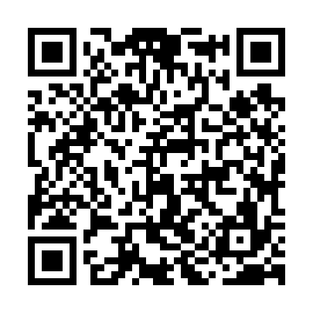 QR code for MIZ636
