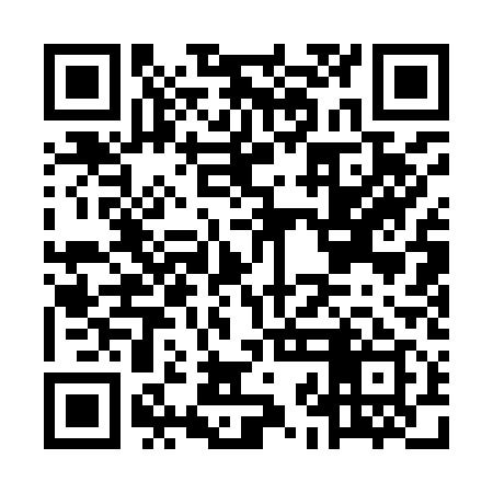 QR code for MJA919
