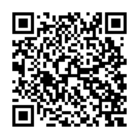 QR code for MJV307
