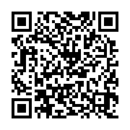 QR code for MJV333