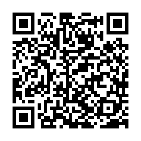 QR code for MJX249