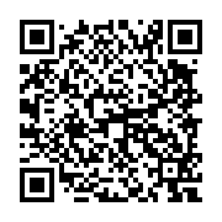 QR code for MJX493