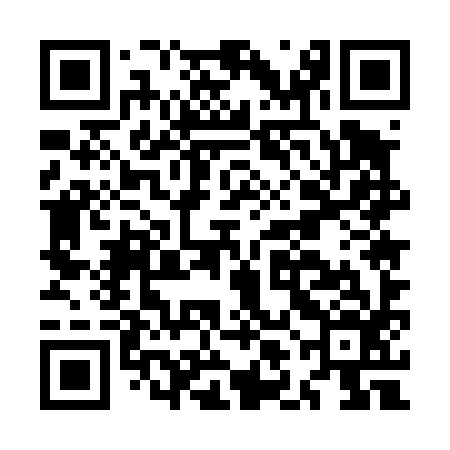 QR code for MLE496