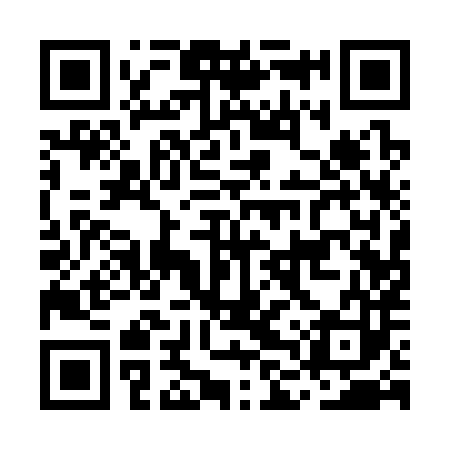 QR code for MLQ383