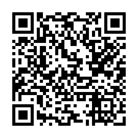 QR code for MLS383
