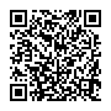 QR code for MMA290