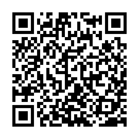 QR code for MMA389