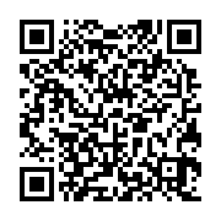 QR code for MMG323
