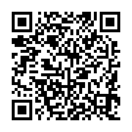QR code for MMI291
