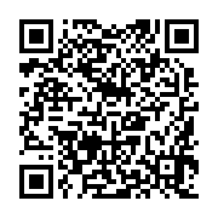 QR code for MMI294