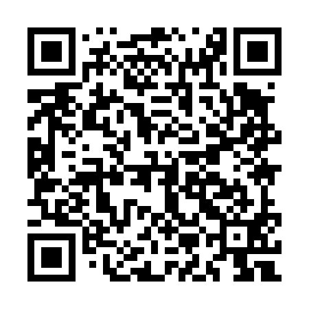 QR code for MMI491