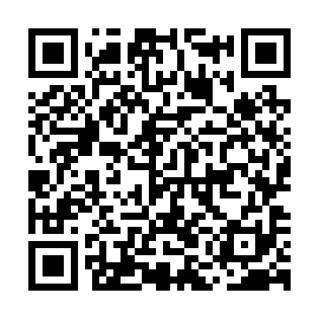 QR code for MMO291