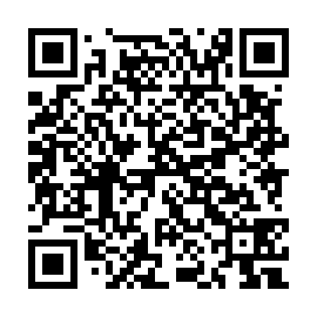 QR code for MNH538