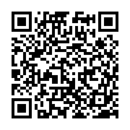 QR code for MNI173