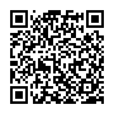 QR code for MNI320