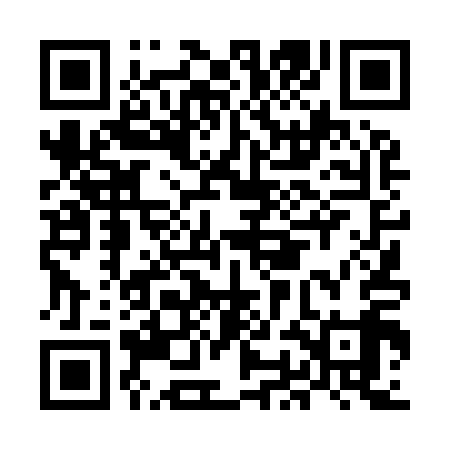QR code for MOD919