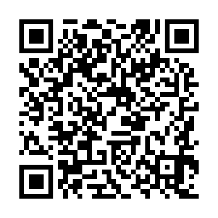 QR code for MPH991