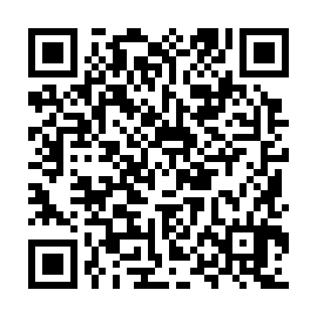 QR code for MPI384