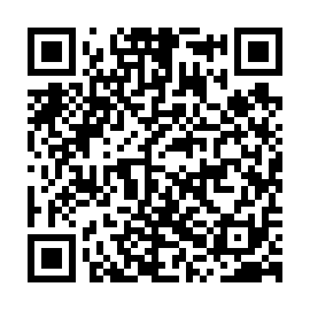 QR code for MPI611