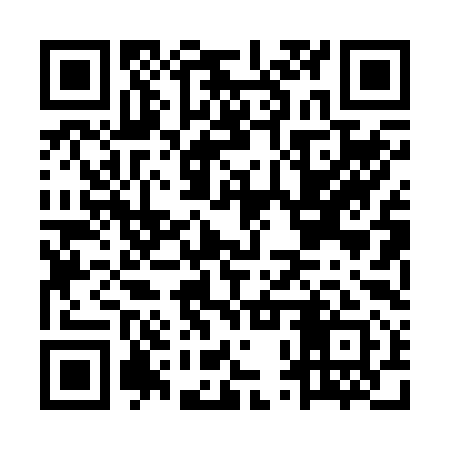 QR code for MPP291