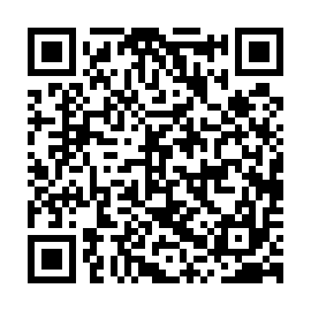 QR code for MPP517