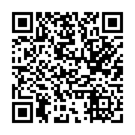 QR code for MPV141