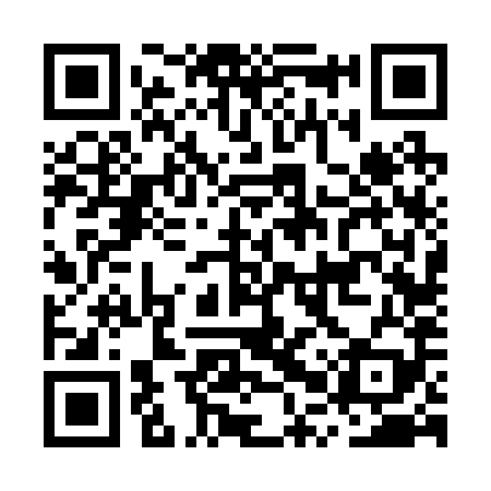 QR code for MPV289