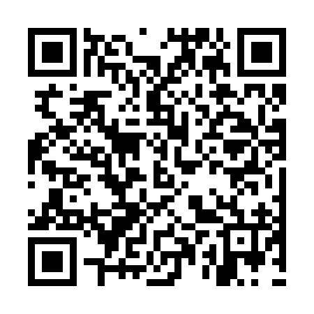 QR code for MPV296