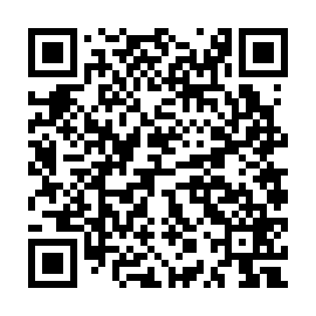 QR code for MPV369