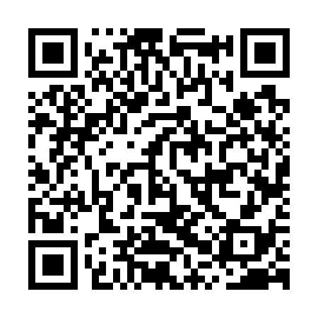QR code for MPV738