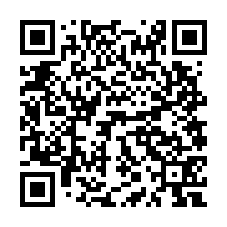 QR code for MPV771