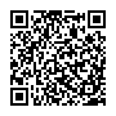 QR code for MPZ384