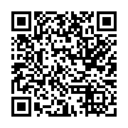 QR code for MRF393