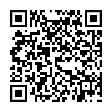 QR code for MRI383