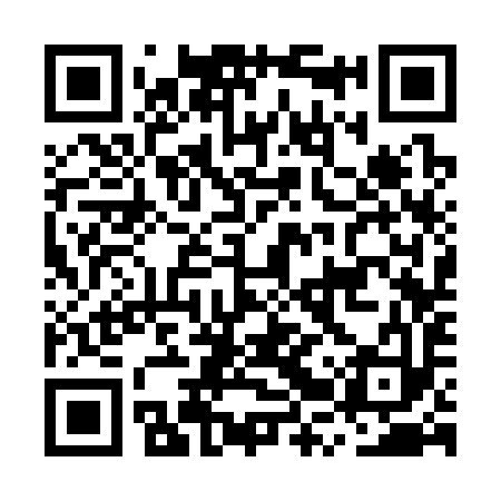 QR code for MRS393