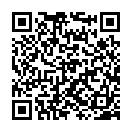 QR code for MRT333