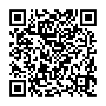 QR code for MSA991
