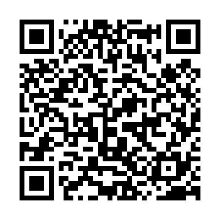 QR code for MSG435