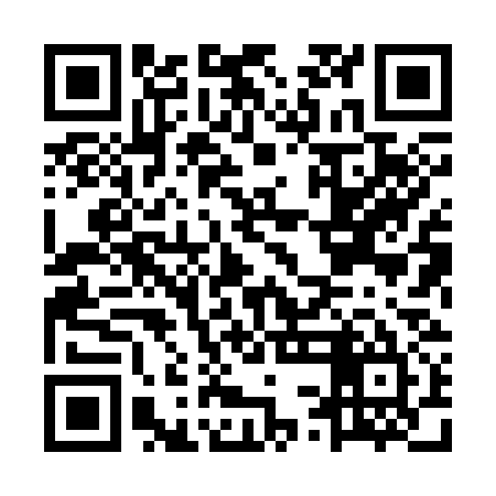 QR code for MSH335