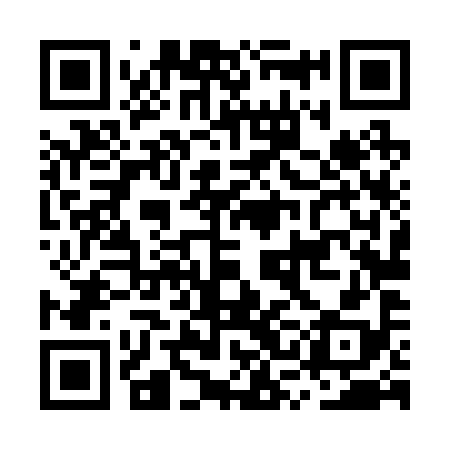 QR code for MSL298