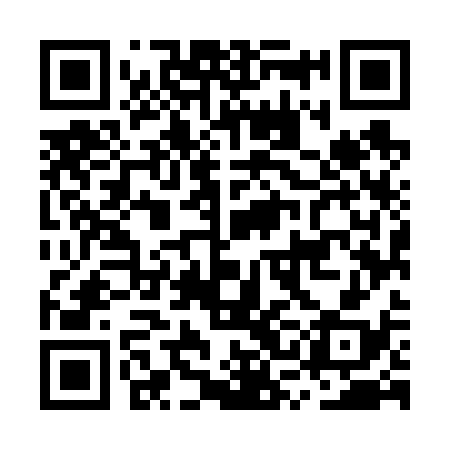 QR code for MSM638