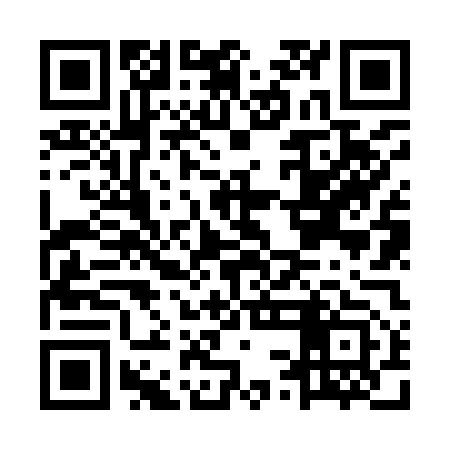 QR code for MSN953