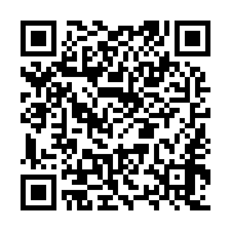 QR code for MSN958