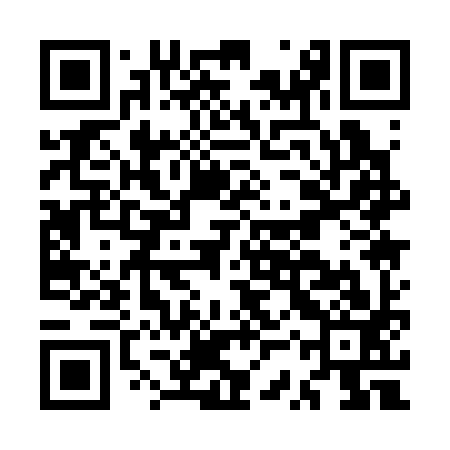 QR code for MSQ393